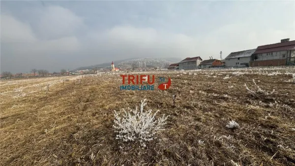 Teren Șard - poza 3