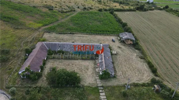 Spațiu industrial Ighiu - poza 2