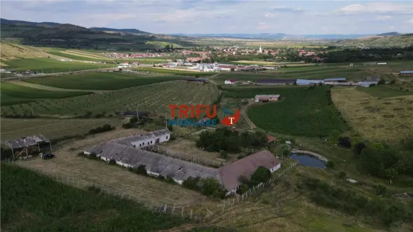 Spațiu industrial Ighiu - poza 3