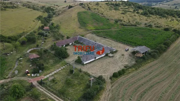 Spațiu industrial Ighiu - poza 4