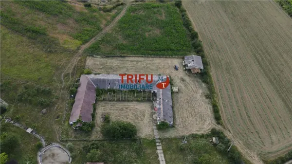 Spațiu industrial Ighiu - poza 5