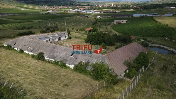 Spațiu industrial Ighiu - poza 6