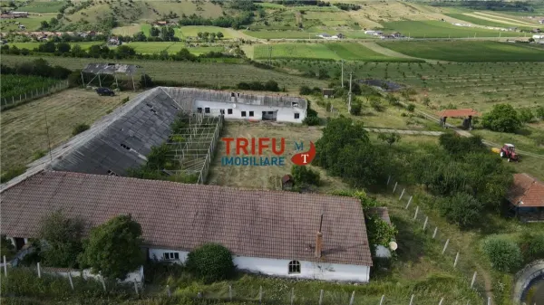 Spațiu industrial Ighiu - poza 8