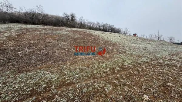 Teren Șard - poza 1