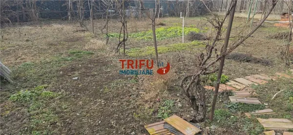 Casă 5 camere Alba Iulia - poza 2