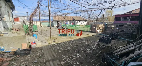 Teren Sibot - poza 4