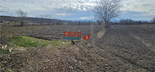 Teren Sibot - poza 8
