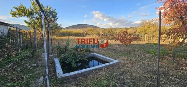 Casă 4 camere Cricău - poza 9
