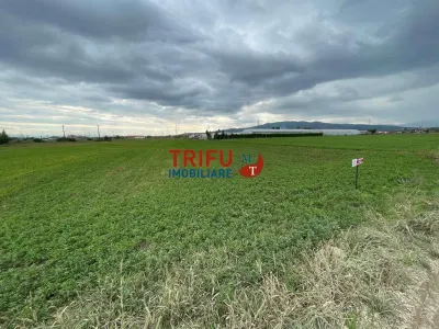 Teren extravilan de vânzare în Bărăbanț - foto 4