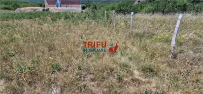 Teren in Podei de vanzare intravilan construibil - foto 2