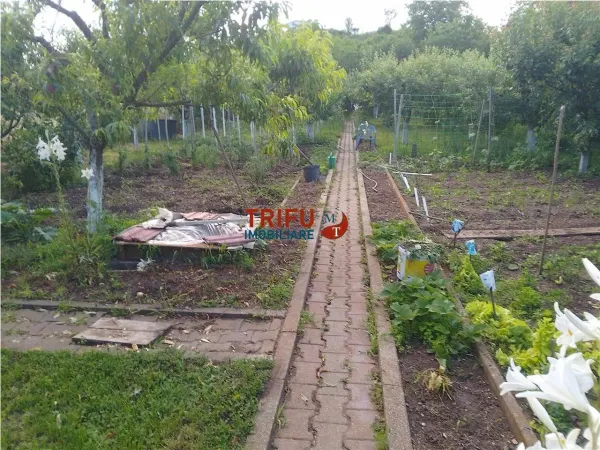 Casă 4 camere Alba Iulia - poza 12