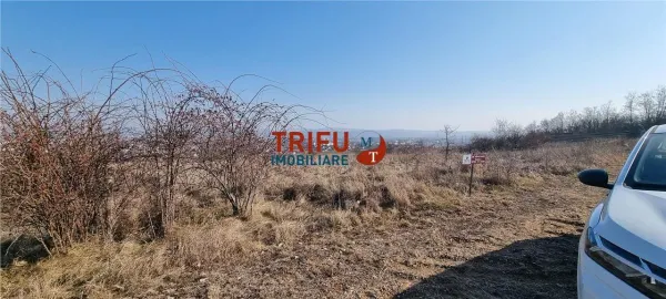 Teren Alba Iulia - poza 4