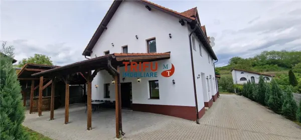 Hotel/Pensiune Alba Iulia - poza 1