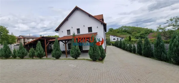 Hotel/Pensiune Alba Iulia - poza 3