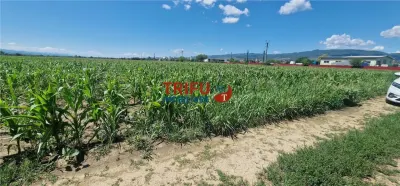 Teren de vanzare langa soseaua de centura, 5100 mp - foto 2