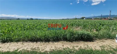 Teren de vanzare langa soseaua de centura, 5100 mp - foto 3