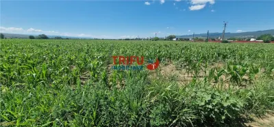 Teren de vanzare langa soseaua de centura, 5100 mp - foto 5