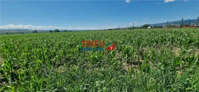 Teren de vanzare langa soseaua de centura, 5100 mp - foto 6
