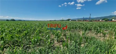 Teren de vanzare langa soseaua de centura, 5100 mp - foto 7