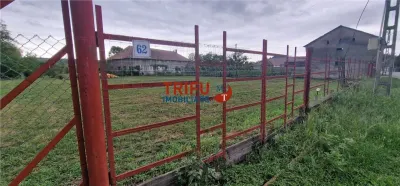 Oportunitate de Investiție: Teren 24000mp Intravilan Construibil în Galda de Jos - foto 14