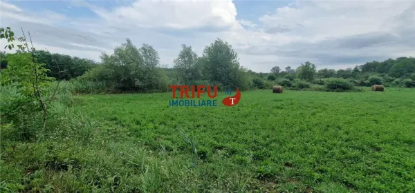 Teren Galda de Jos - poza 8