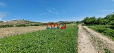 Teren intravilan in zona industriala13100 in Sard - foto 8