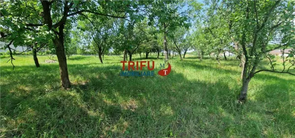 Teren Alba Iulia - poza 1