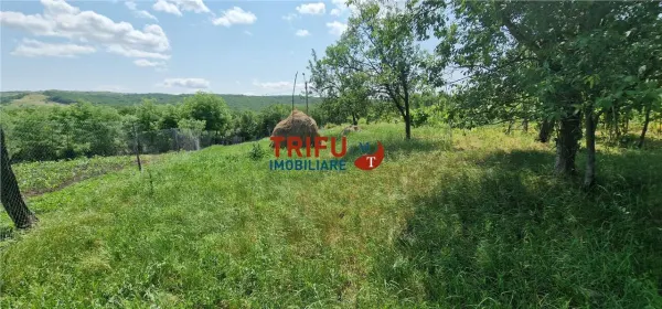 Teren Alba Iulia - poza 4