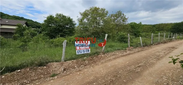 Teren Alba Iulia - poza 2