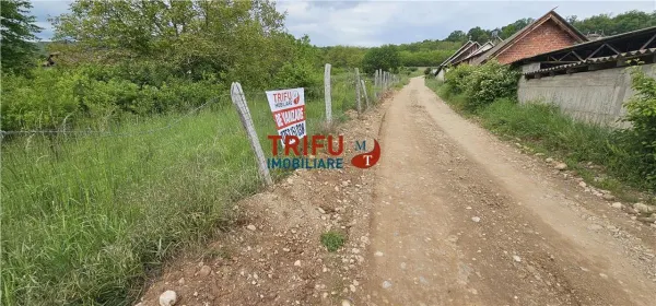 Teren Alba Iulia - poza 3