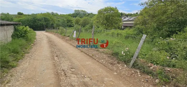 Teren Alba Iulia - poza 4