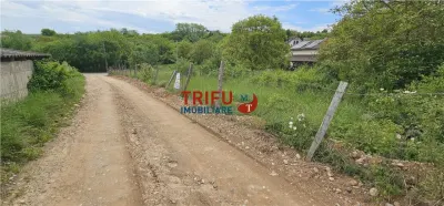 Teren Intravilan de 2000 mp de Vânzare în Valea Popii – Oportunitate de Neratat - foto 4