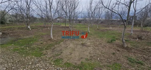 Teren Alba Iulia - poza 1