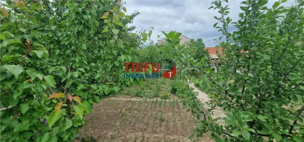 Casă 6 camere Ciugud - poza 18