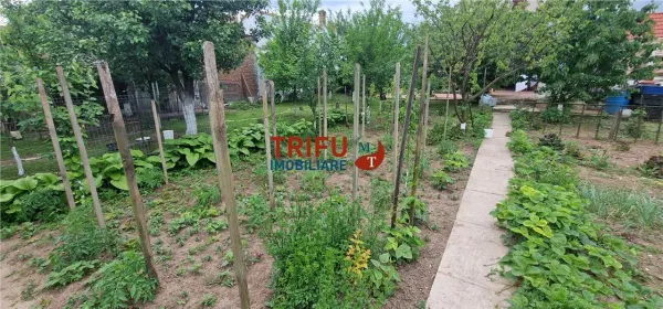 Casă 6 camere Ciugud - poza 21
