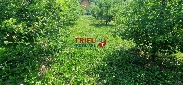 Teren Ampoița - poza 8