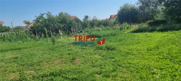 Casă 4 camere Alba Iulia - poza 7