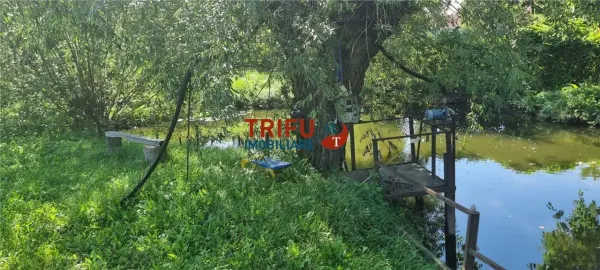 Casă 4 camere Alba Iulia - poza 8