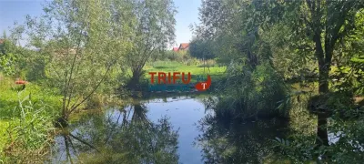 Casă de vânzare cu 3000mp teren în Micești - foto 9