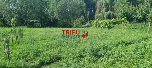 Casă 4 camere Alba Iulia - poza 10