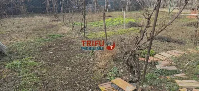 Casa de vanzare in Barabant cu anexe 765mp teren - foto 11