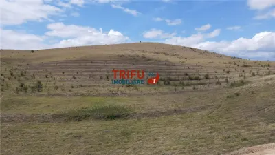 Teren pentru relaxare și agricultură în Barabant, Alba Iulia – Extindere posibilă! - foto 14