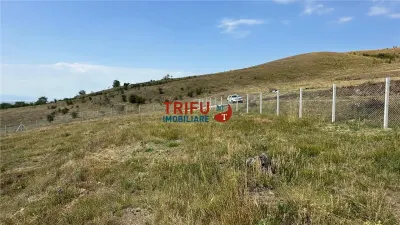 Teren pentru relaxare și agricultură în Barabant, Alba Iulia – Extindere posibilă! - foto 9