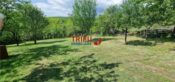 Teren Alba Iulia - poza 1