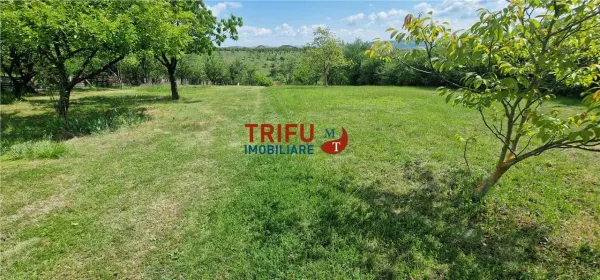 Teren Alba Iulia - poza 11