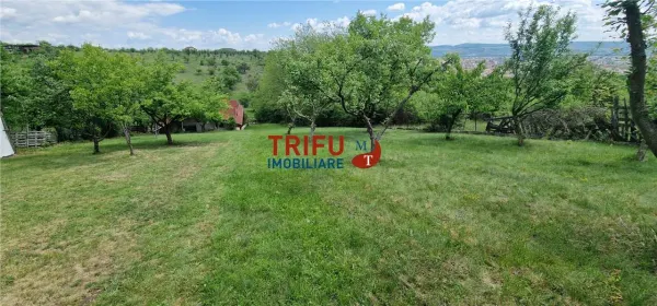 Teren Alba Iulia - poza 4