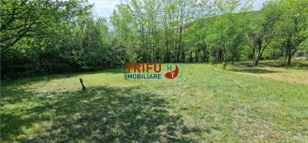 Teren Alba Iulia - poza 5