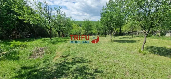 Teren Alba Iulia - poza 8
