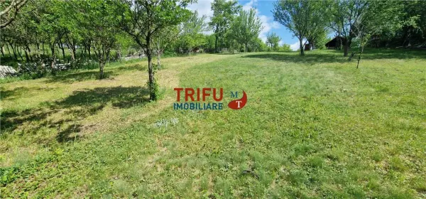 Teren Alba Iulia - poza 10
