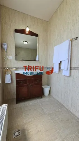 Hotel/Pensiune Alba Iulia - poza 12